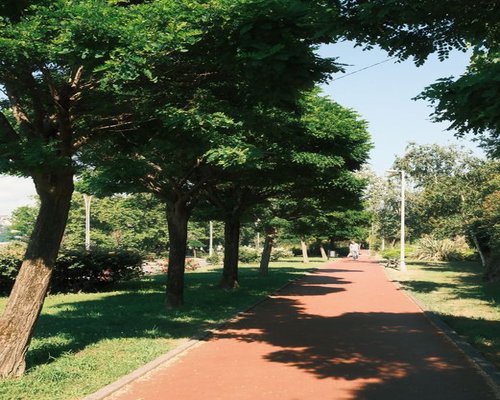 Urban walking route with trees providing shade in a Mexican city